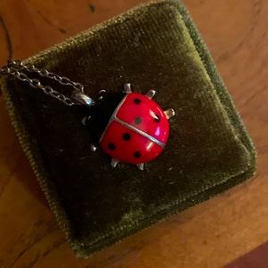 Cute ladybug 🐞 necklace